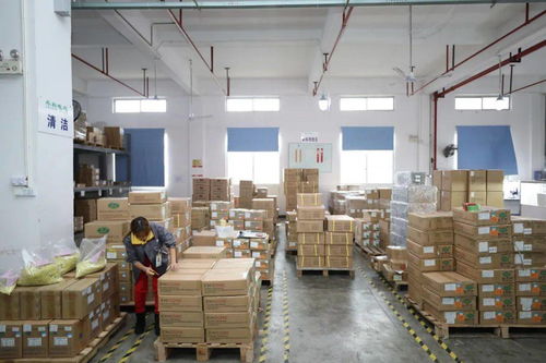 家門口的機遇 賓陽電子廠招工，提供食宿，探索互聯網銷售新方向